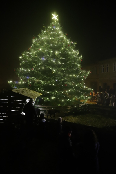 Rozsvícení vánočního stromu - velká fotogalerie